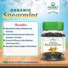 Weight Loss Tea and best Tea for Female Fertility Booster